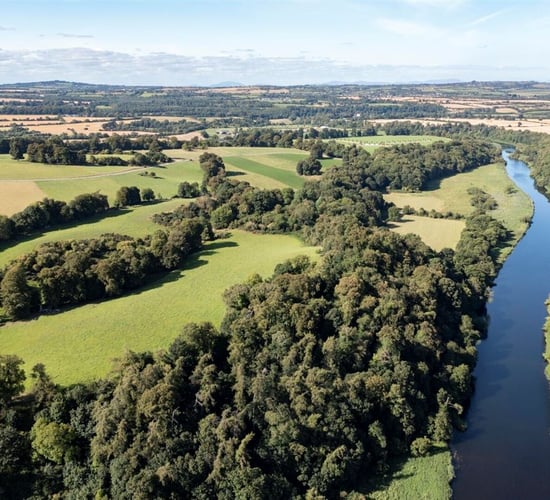 Tenders sought for Brú na Bóinne National Park biodiversity study