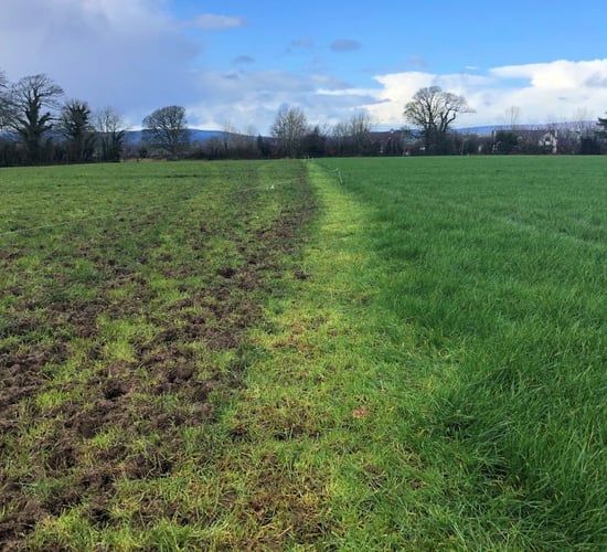 Heavy rain makes grazing conditions challenging