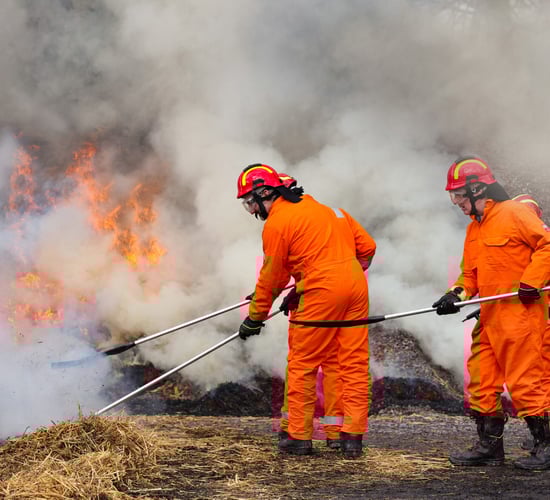 NPWS holds fire prevention training in Killarney National Park