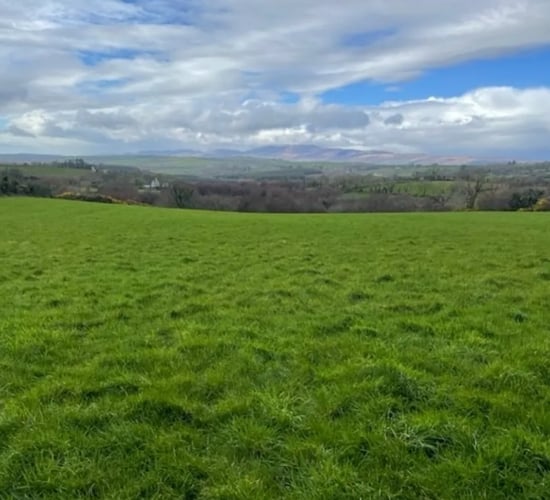 58ac farm near Kerry airport set for auction