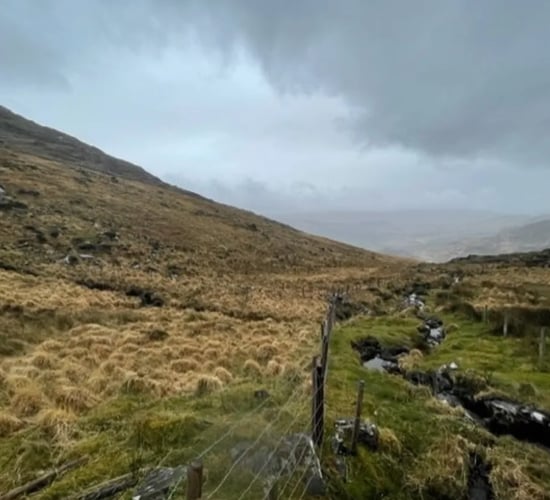 Nature Restoration Law could 'see an end' to hill farming - INHFA