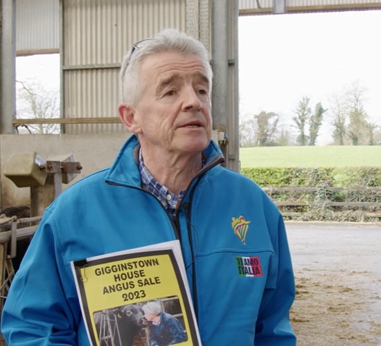 Ryanair boss claims 'loony ideas' could increase food prices