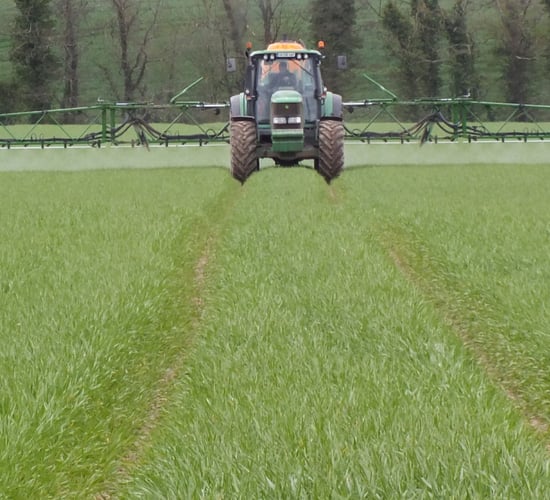 Herbicide-resistant meadow grasses pose threat to weed control