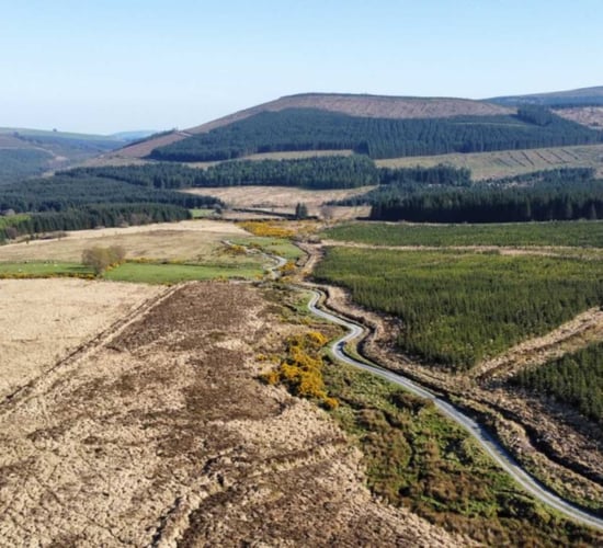 Opportunity to acquire property in Wicklow mountains