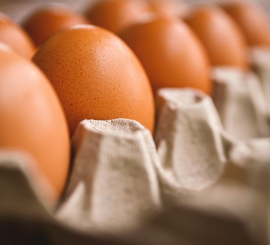 Challenges of egg producers to be addressed at event