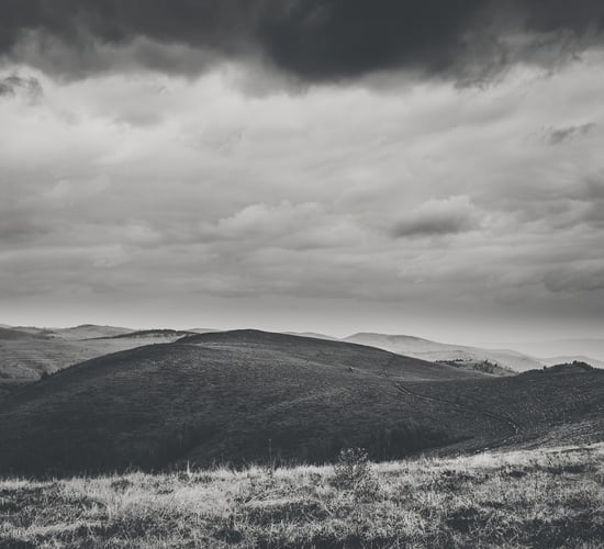 Census 1911: Where were the wealthiest and poorest areas?