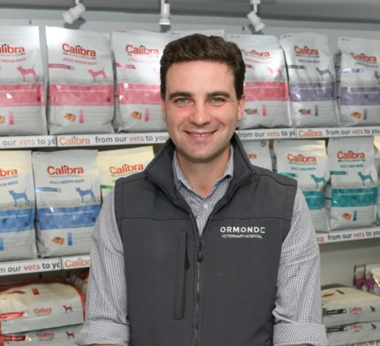 Day in the life: Synchronising heifers with vet Kieran Devaney