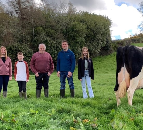 NI herd named British Friesian Herd of the Year