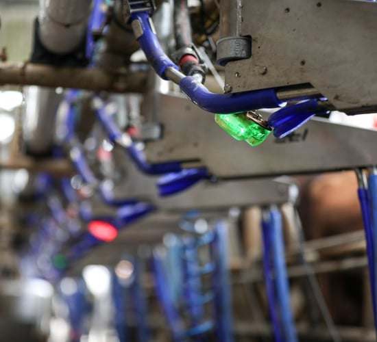 SenseHub SCC Sensor protects milk outputs and profits margins