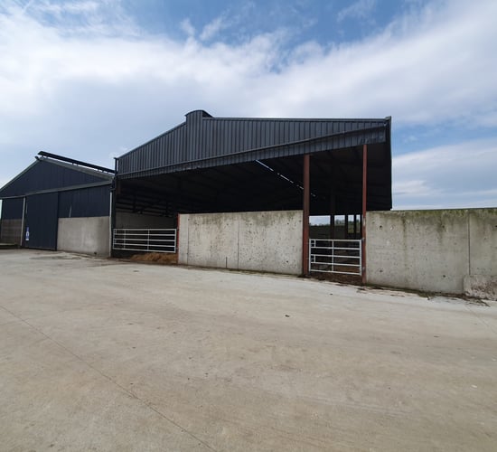 Over 3,000 TAMS tranche 5 applications approved