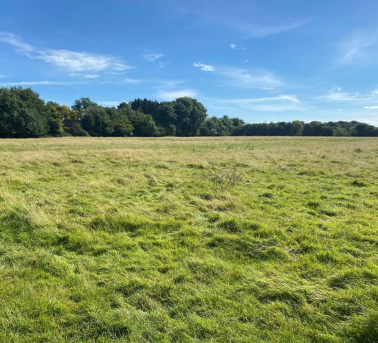'Attractive' parcel of land in Sallins for auction