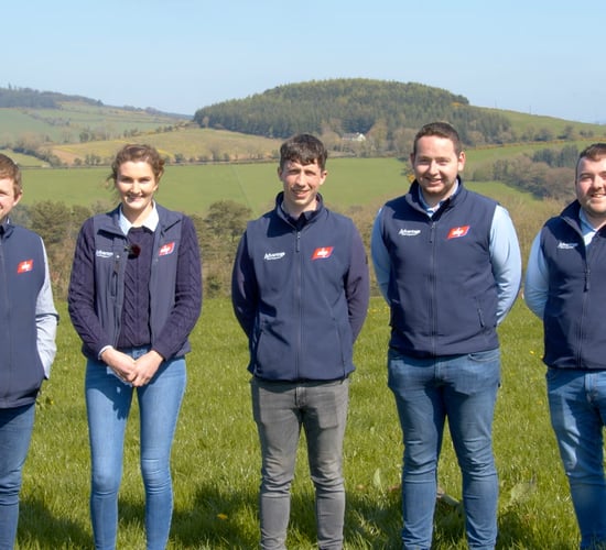 Advantage Spring Dairy-Beef Series set to focus on improving dairy-beef genetics
