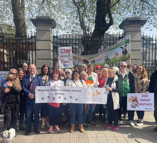 New cross-party Dáil animal welfare group planned - Tóibín