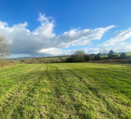 Kerry farm makes almost €18,000/ac at auction