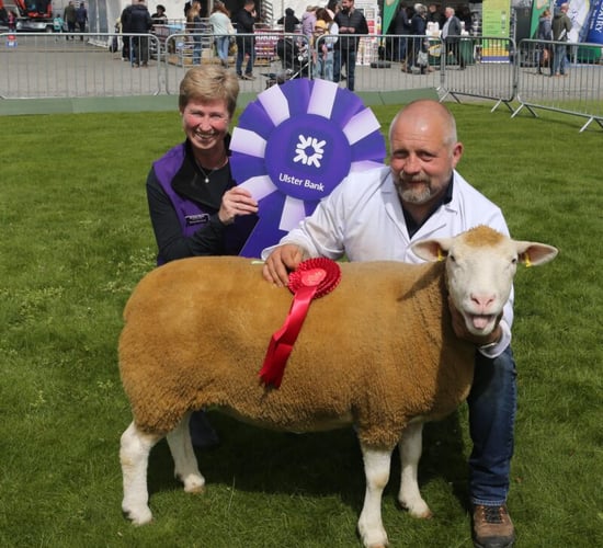 Who were the winners at Balmoral Show 2023?