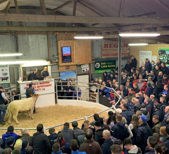 2023 Carrick Winter Fair to take place over 2 weekends