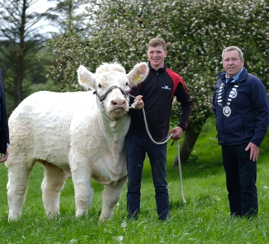 €50,000 in prize money for beef breeding class at agri-shows