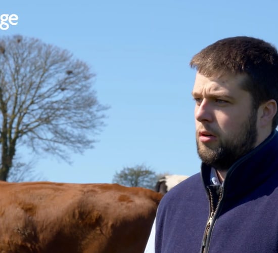 Video: Securing a €3,000/year beef sustainability bonus