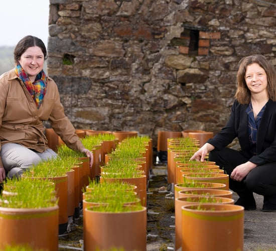 VistaMilk SFI Research Centre appoints new funded investigator