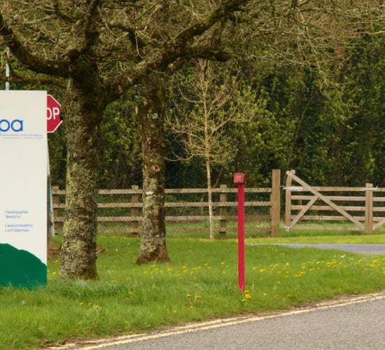 Watch: On the Record - increase in dairy herd 'unsustainable' - EPA