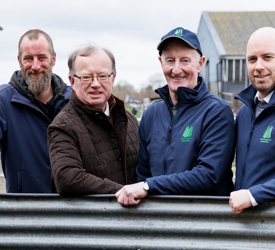 IGA sheep event to take place entirely on-farm