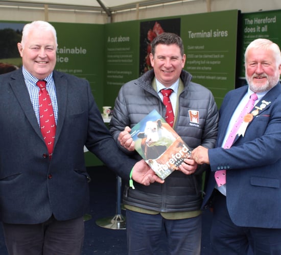 Balmoral Show 2023: Tremendous turnout of Hereford cattle