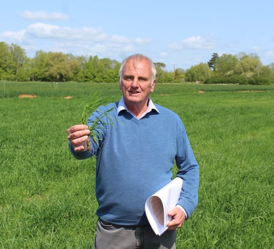 Nitrogen use efficiency can be core driver in cereal crops