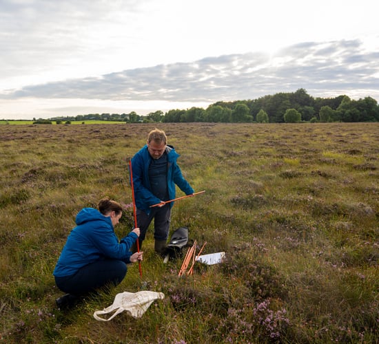 Bogland biodiversity and how it can help mitigate climate change
