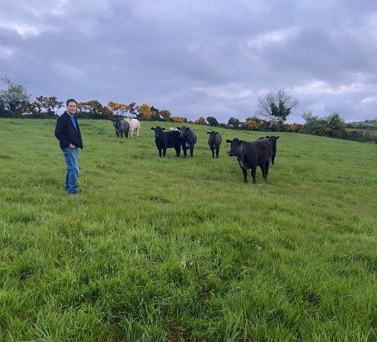 The Keenans begin their journey to organic farming