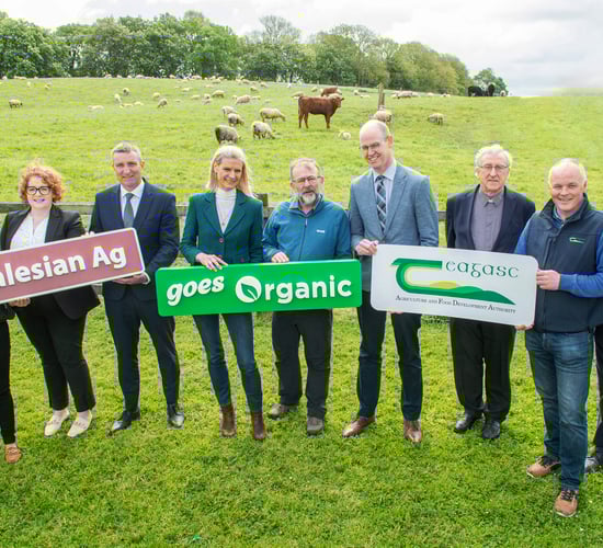 Salesian Agricultural College drystock farm moves to organic