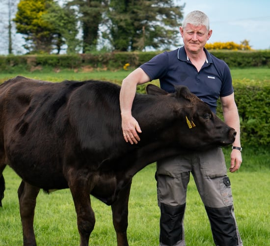 Balmoral Show 2023: M&S enjoys strong trading year
