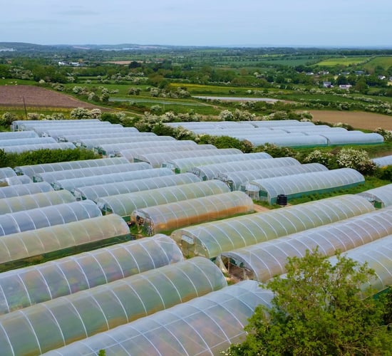 Video: Farmers warn below-cost selling 'has to stop'