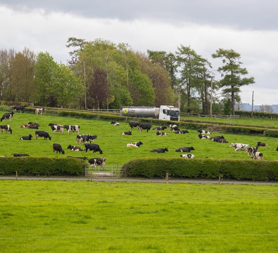 Tirlán confirms members will receive €6 million trading bonus