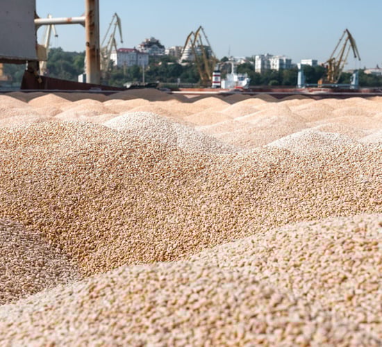 Minister urged to respond to concerns about grain imports
