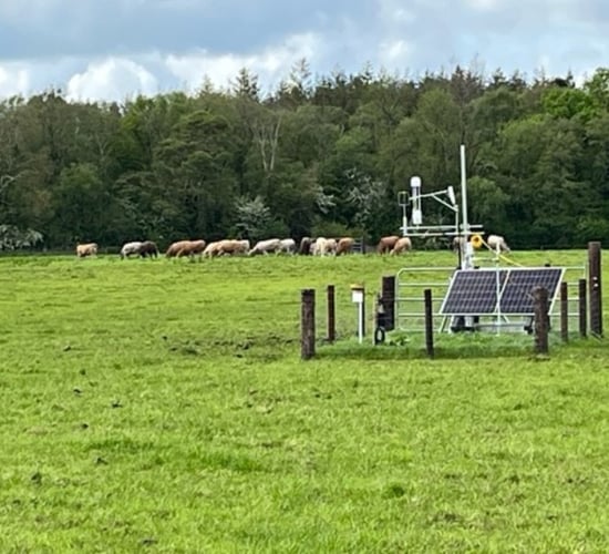 Offaly workshop: 'Lack of clarity' on rewetting at farm scale