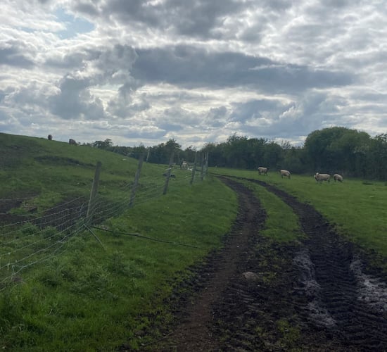 Study: Farms to decline but size to double by 2100