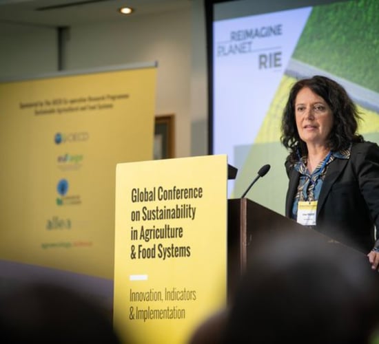 Farmers profits key for Farm to Fork success - MEP