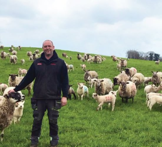 Laois farmer holds first 'Growing Organics' walk