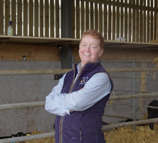 George Goes Dairy Farming: Season 4 continues in Longford