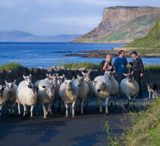 Grants up to €200k available for rural tourism diversification
