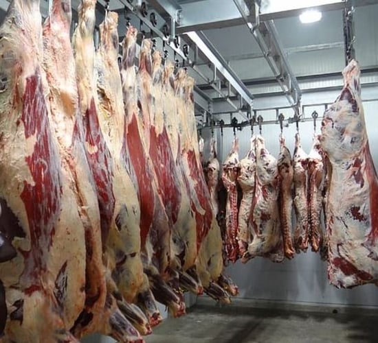 TD raises meat production's 'chronic' labour shortages in Dáil