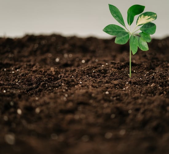 DAFM boosts climate related agri-research to €25m