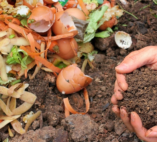 How food waste can boost domestic fertiliser production