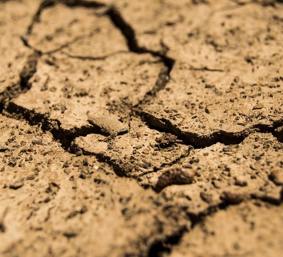 Spain allocates €2bn to help farmers hit by drought