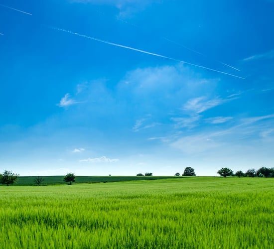 Farm organisations urge NI farmers to give views on carbon budget