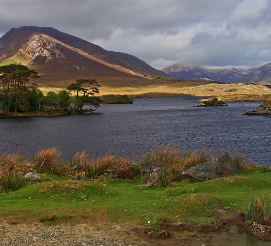 MEP to host Mayo meeting about rural decline