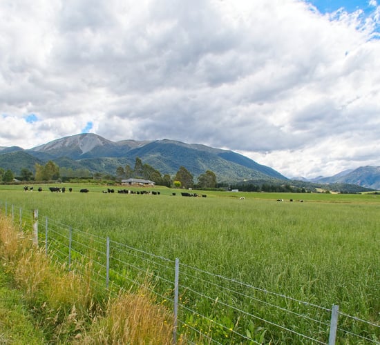 MEPs approve free trade agreement with New Zealand