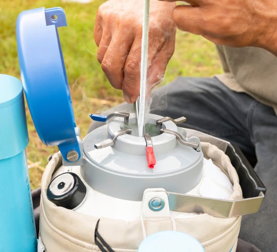 Are you sticking with sexed semen this breeding season?
