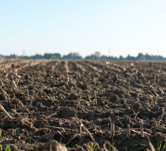 MEPs on agri committee push for carbon farming
