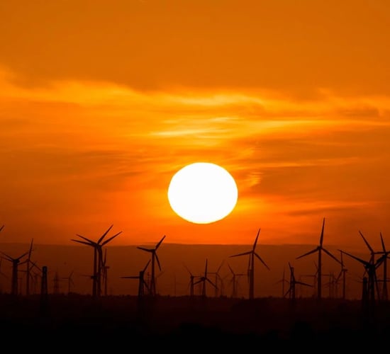 Need to 'revisit' idea of crop insurance amid EU heatwaves